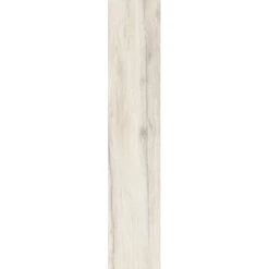 Plinthe NWOOD Ivory Rectifié 6,5x120cm