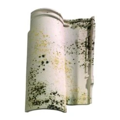 Tuile GALLEANE 10 AUTHENTIQUE 9,9 à 11,3m2 10037576