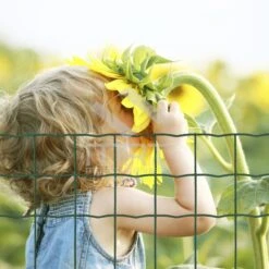 Grillage Soudé 100 X 100mm H.1,50m Vert Rouleau 20m -Construction Matériaux Magasin Photo dambiance 2 945917