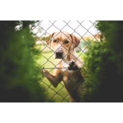 Grillage Simple Torsion Non Compacté 50mm H.1,00m Vert Rouleau 25m -Construction Matériaux Magasin Photo dambiance 3 1021127