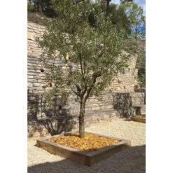 Traverse Chêne Non Traité 4 Arêtes Vives 100x200mm 2,60m -Construction Matériaux Magasin Photo dambiance 3 1394795