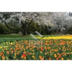 Grillage Soudé 100 X 100mm H.1,50m Vert Rouleau 20m -Construction Matériaux Magasin Photo dambiance 3 945917